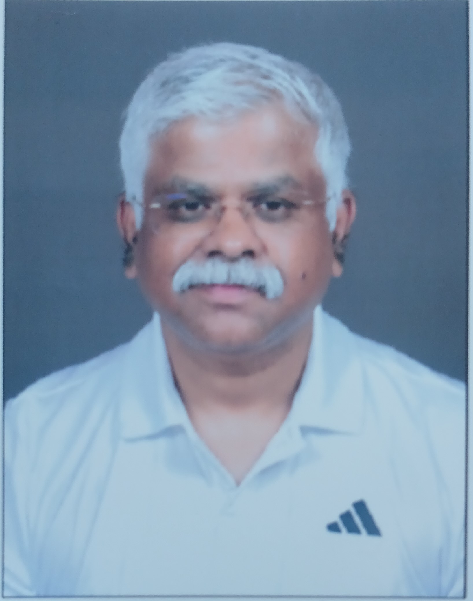 Vishwanath H V
